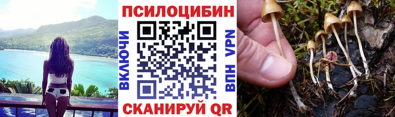 Галлюциногенные грибы Cubensis  купить наркотик  Чайковский 